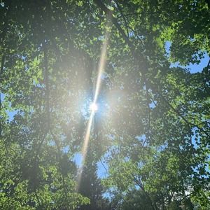 Meet your Posher, Aya